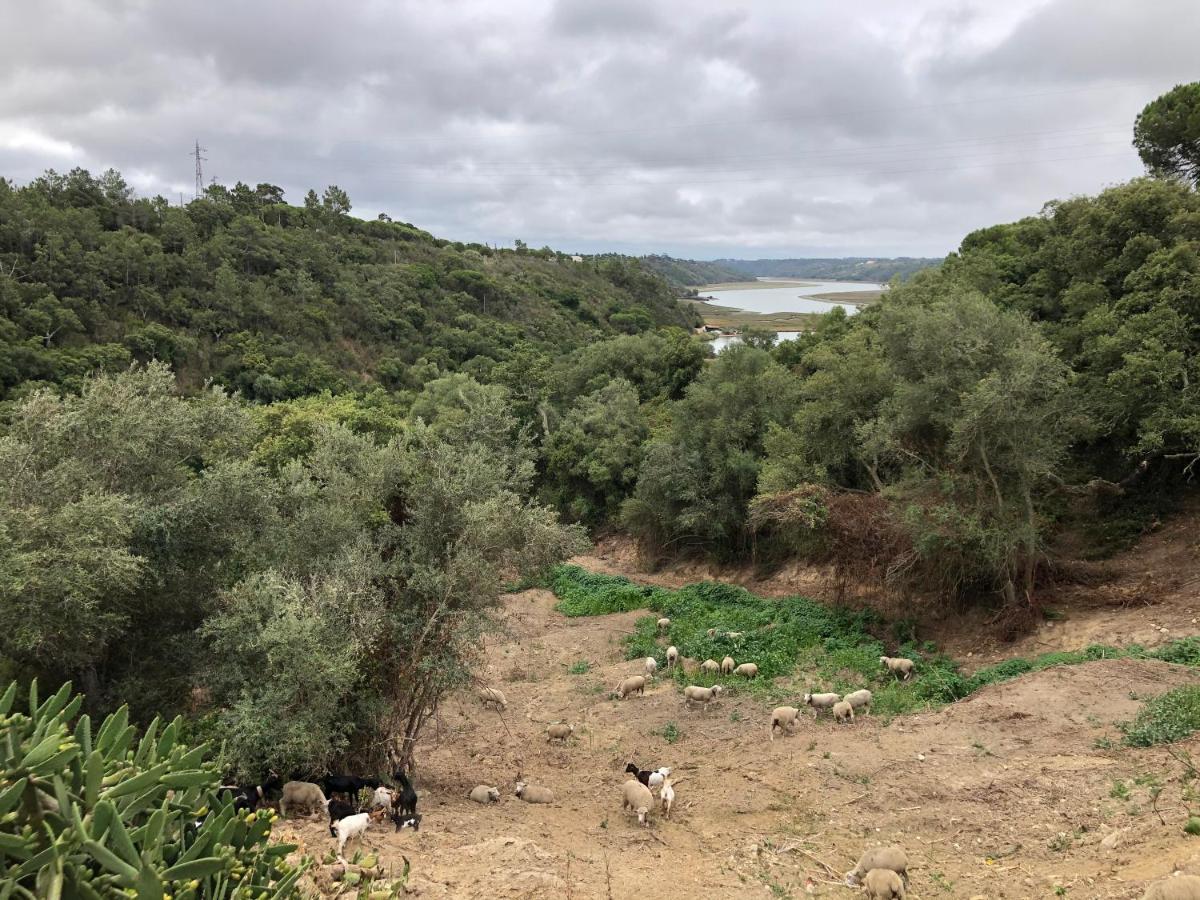 Herdade Do Freixial - Turismo Rural Vila Nova de Milfontes Esterno foto