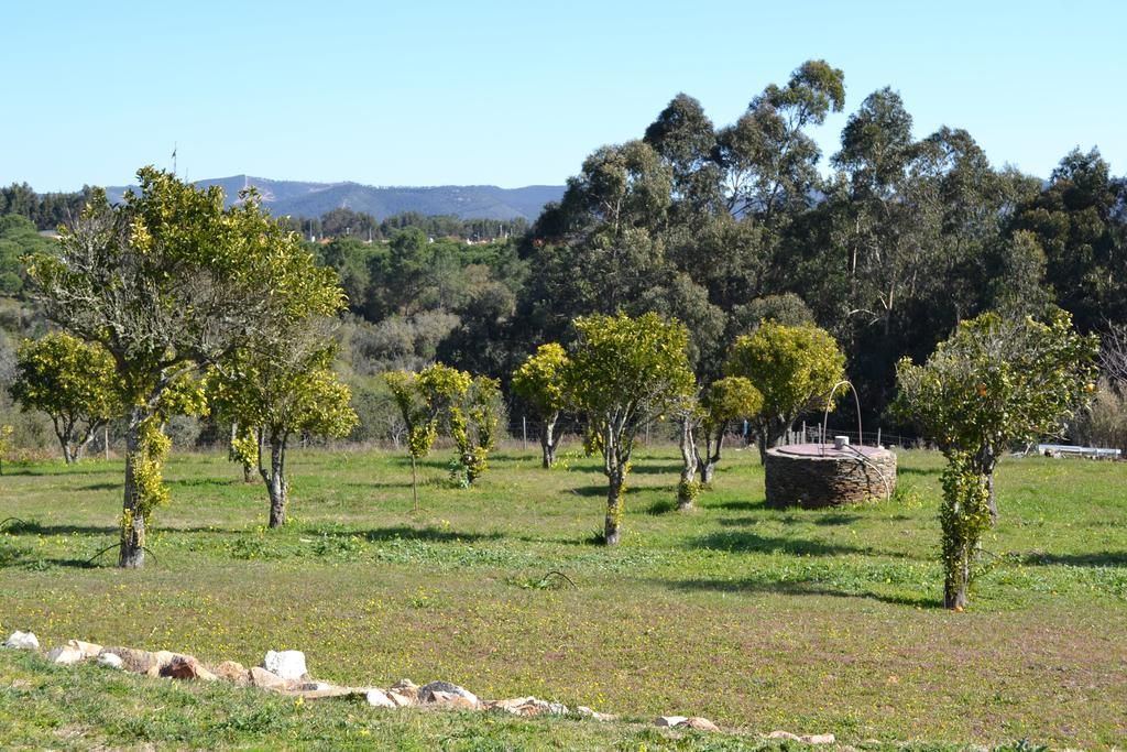 Herdade Do Freixial - Turismo Rural Vila Nova de Milfontes Esterno foto